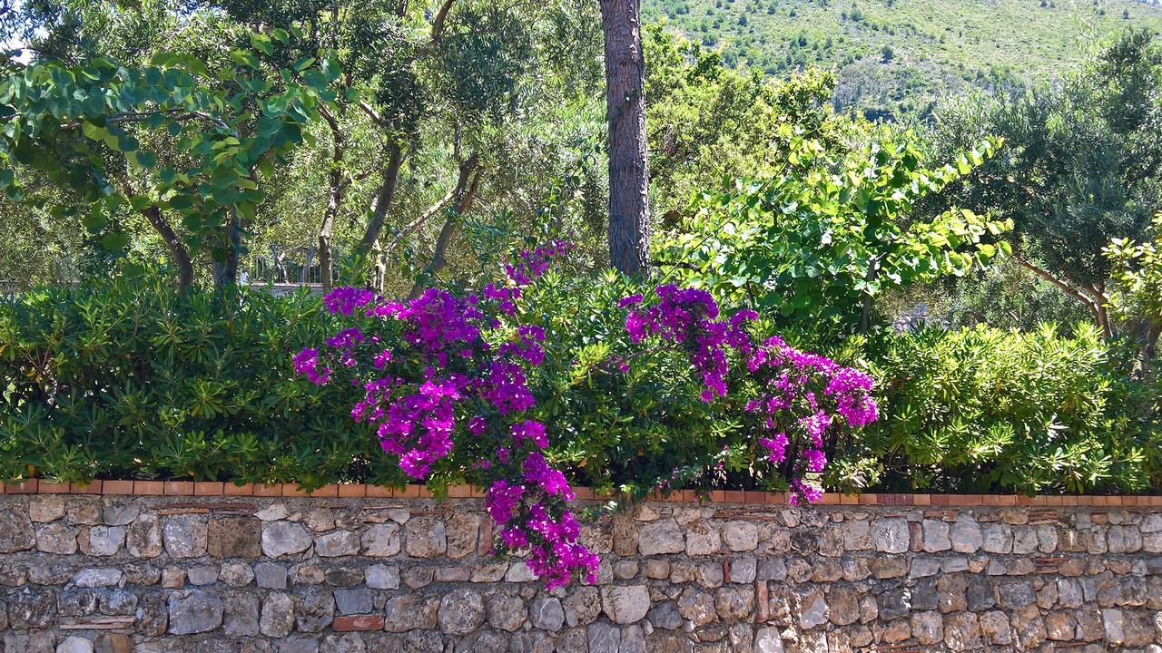 Hotel Cala Del Citro Маратеа Екстер'єр фото