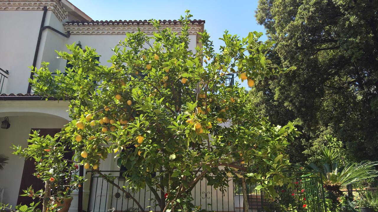 Hotel Cala Del Citro Маратеа Екстер'єр фото