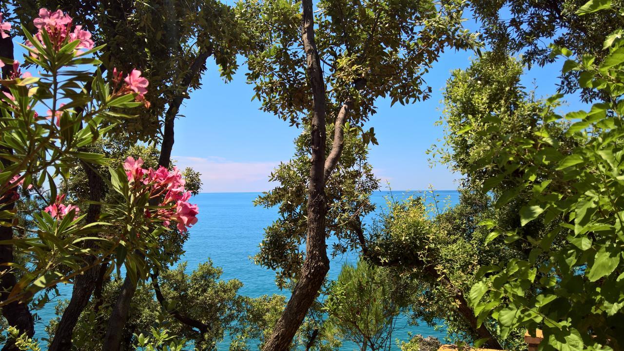 Hotel Cala Del Citro Маратеа Екстер'єр фото