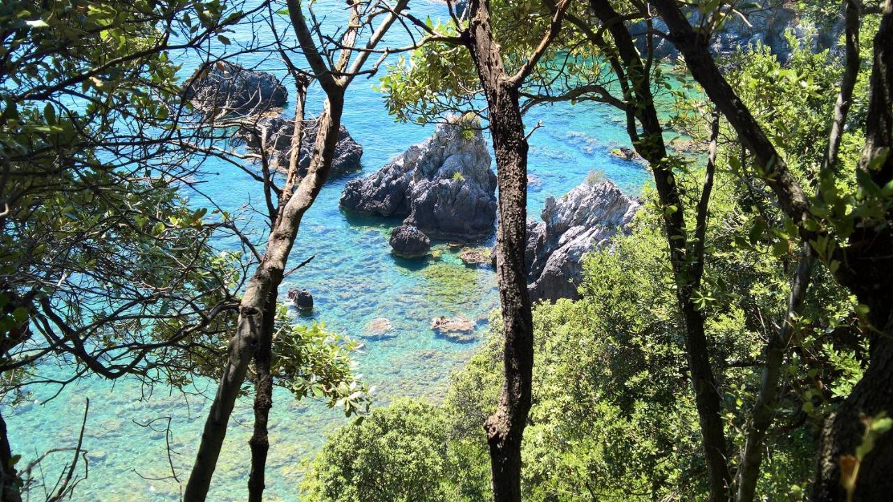 Hotel Cala Del Citro Маратеа Екстер'єр фото